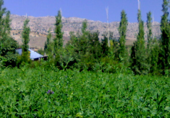 Gjm0017