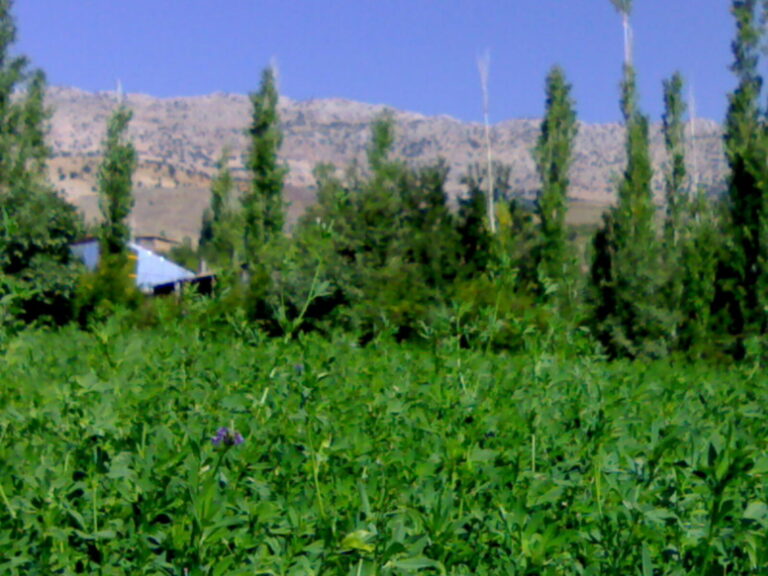 Gjm0017
