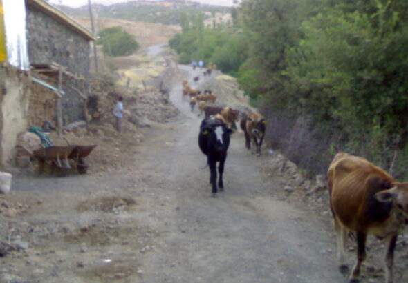 Gjm070